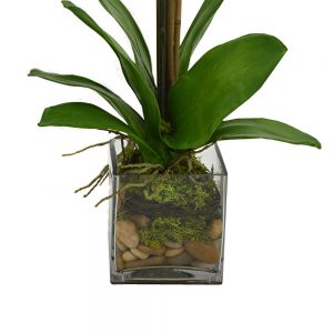 Creative Displays Floral Arrangement with Orchids, Moss and Rocks in Clear Glass Vase