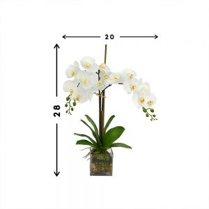 Creative Displays Floral Arrangement with Orchids, Moss and Rocks in Clear Glass Vase