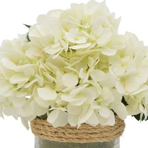 Creative Displays Floral Arrangement with White Hydrangea and Moss in Glass Vase with Rope