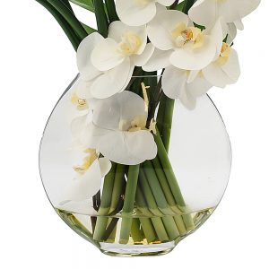 Creative Displays Floral Arrangement with Orchids, Calla Lily and Philodendron Leaves in Clear Circular Glass Vase