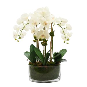 Creative Displays Floral Arrangement with Orchids, Magnolia Leaves, Bamboo and Moss in Glass Vase