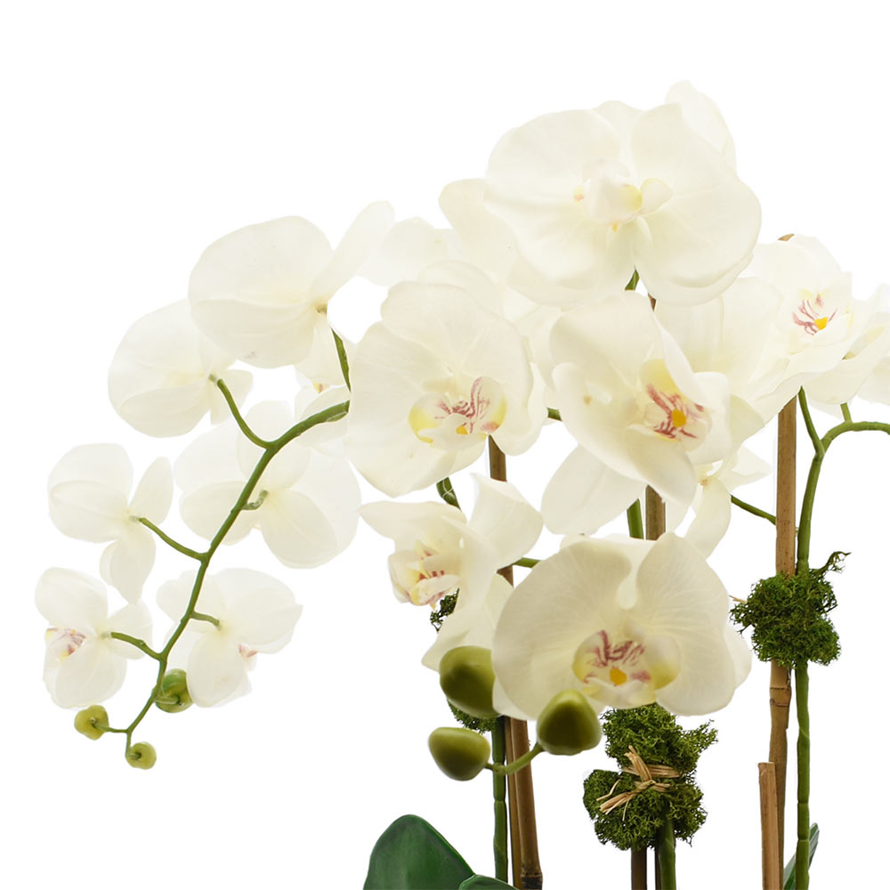 Creative Displays Floral Arrangement with Orchids, Magnolia Leaves, Bamboo and Moss in Glass Vase