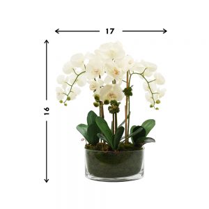 Creative Displays Floral Arrangement with Orchids, Magnolia Leaves, Bamboo and Moss in Glass Vase
