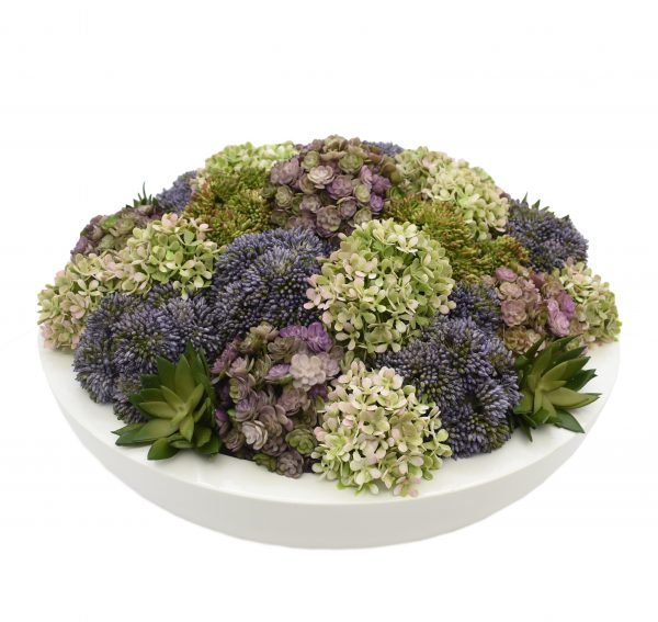 Creative Displays Floral Arrangement with Assorted Sedum, Succulents and Snowball Hydrangea in Glossy White Fiberstone Round Planter