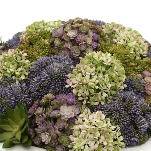Creative Displays Floral Arrangement with Assorted Sedum, Succulents and Snowball Hydrangea in Glossy White Fiberstone Round Planter