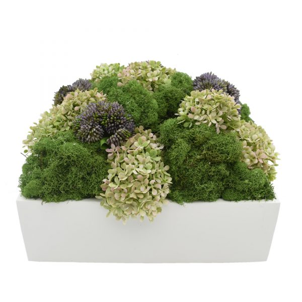 Creative Displays Floral Arrangement wih Moss, Hydrangea and Sedum in White Fiberstone Planter