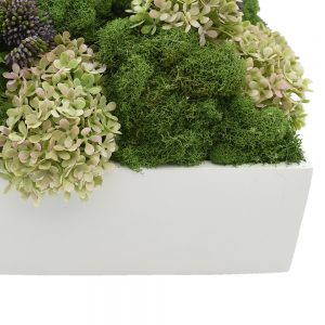 Creative Displays Floral Arrangement wih Moss, Hydrangea and Sedum in White Fiberstone Planter