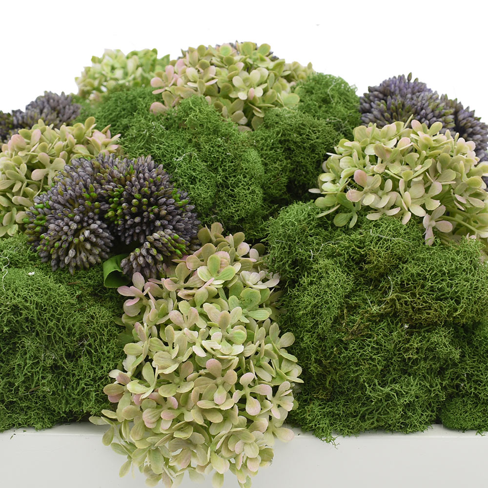 Creative Displays Floral Arrangement wih Moss, Hydrangea and Sedum in White Fiberstone Planter