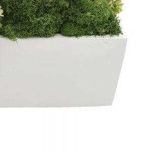 Creative Displays Floral Arrangement wih Moss, Hydrangea and Sedum in White Fiberstone Planter