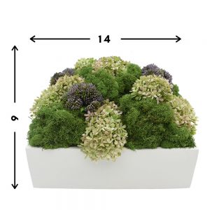 Creative Displays Floral Arrangement wih Moss, Hydrangea and Sedum in White Fiberstone Planter