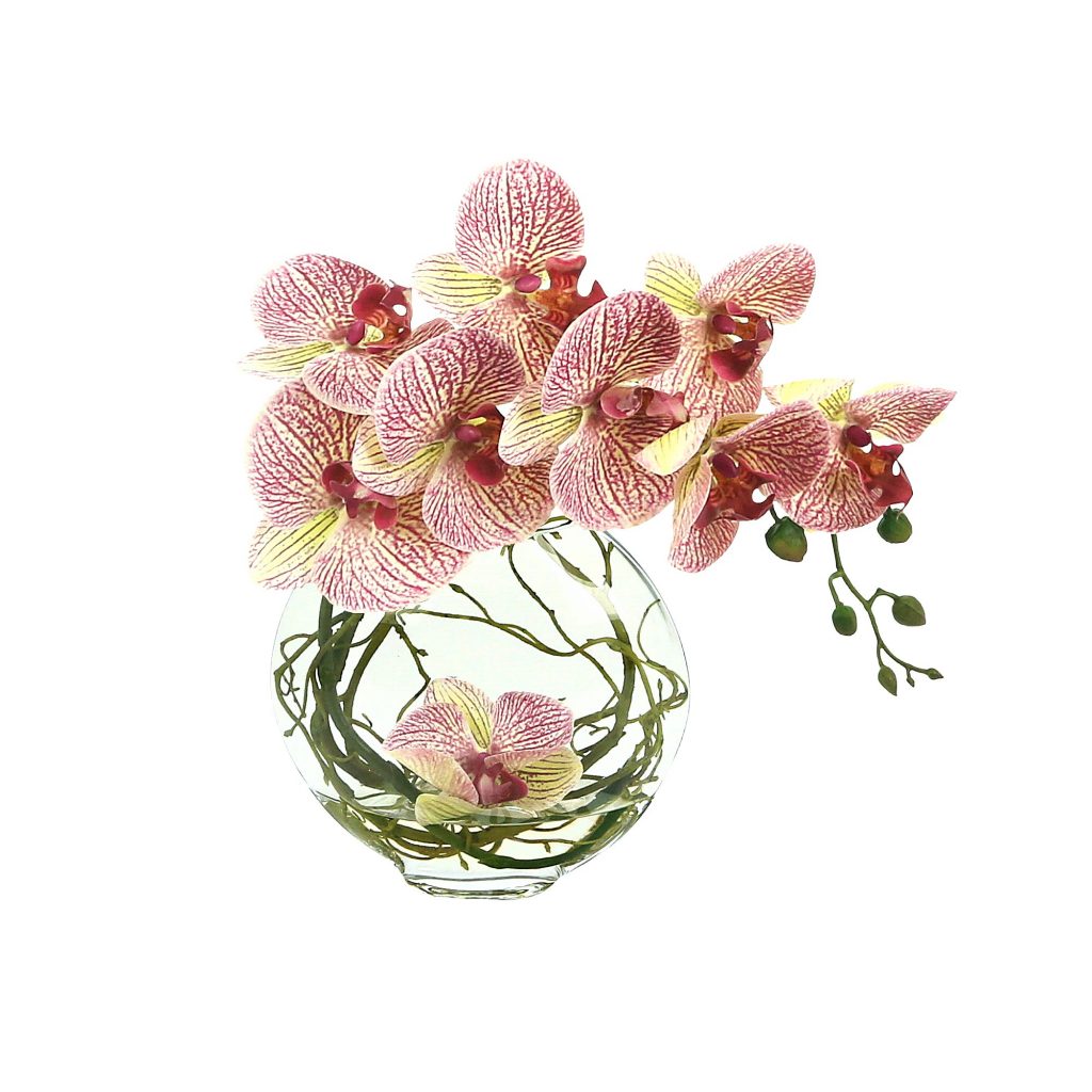 Orchid Arranged in Glass Vase with Vine Creative Displays and Designs inc