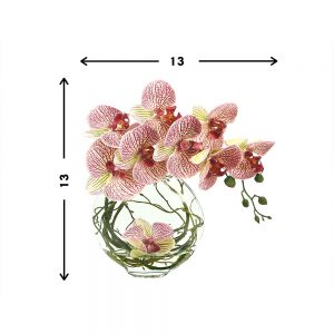 Orchid Arranged in Glass Vase with Vine