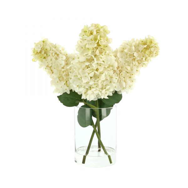 Creative Displays Floral Arrangement with Cone Shaped Hydrangea in Glass Vase