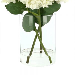 Creative Displays Floral Arrangement with Cone Shaped Hydrangea in Glass Vase