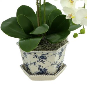Creative Displays Floral Arrangement with White Orchids, Leaves and Bamboo in Blue/White Decorative Ceramic Vase