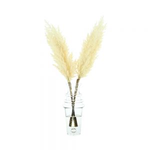 Creative Displays Floral Arrangement with Pampas Grass in Tall Glass Vase