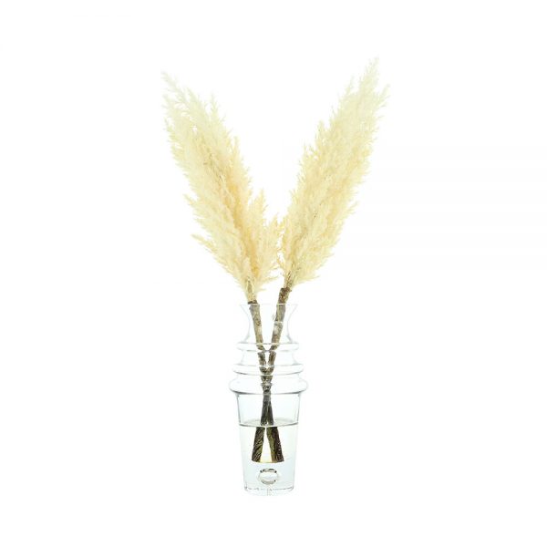 Creative Displays Floral Arrangement with Pampas Grass in Tall Glass Vase