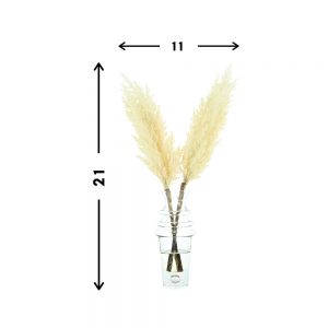 Creative Displays Floral Arrangement with Pampas Grass in Tall Glass Vase