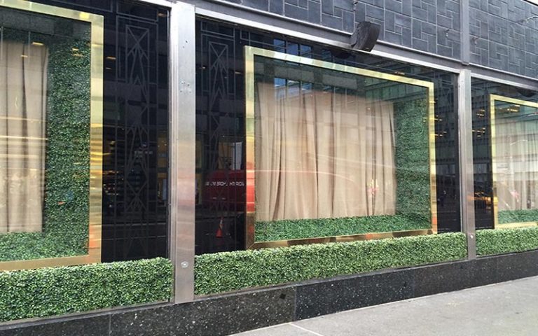 boxwoods-2