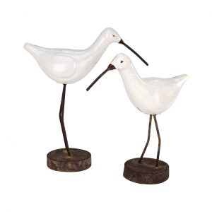Kiwi Bird Figurines -Set 2