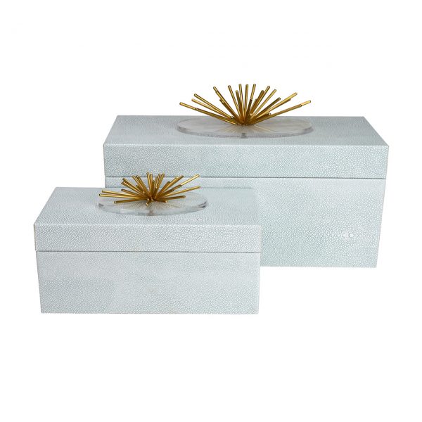 Urchin Boxes -Set 2