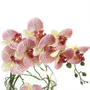 Add to cart CREATIVE DISPLAYS FLORAL ARRANGEMENT WITH PINK ORCHID AND VINE IN GLASS VASE