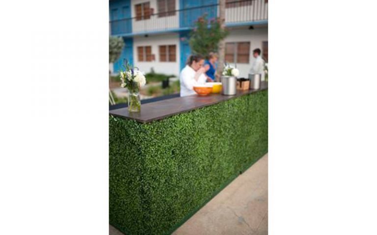 boxwood-4