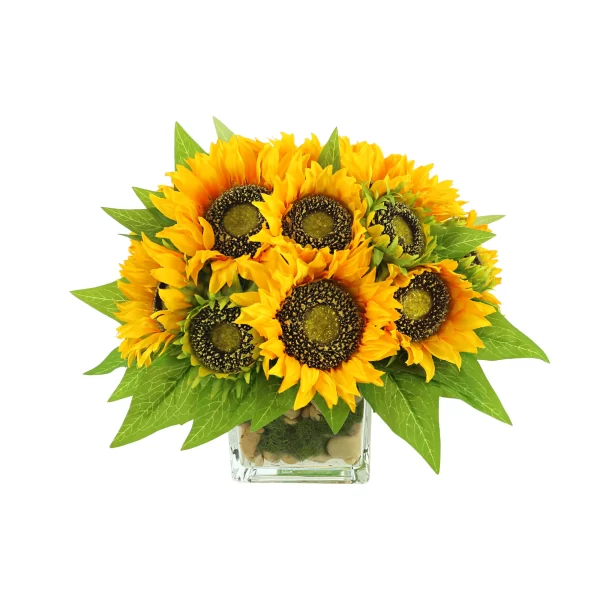 Sunflower Arrangement in a Square Glass Vase with Stones and Moss