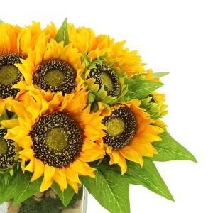 Sunflower Arrangement in a Square Glass Vase with Stones and Moss