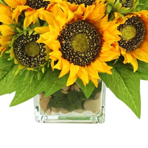 Sunflower Arrangement in a Square Glass Vase with Stones and Moss