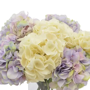 Assorted Hydrangea Floral Arrangement in a Clear Glass Vase