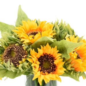Sunflower in Glass Vase with Grass