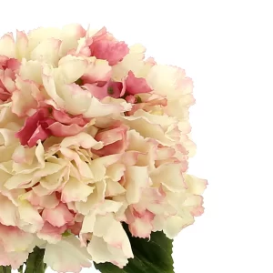 Hydrangea Floral Arrangement in a Clear Glass Vase