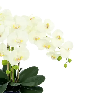 Orchid Floral Arrangement in a Decorative Ceramic Vase