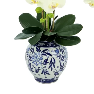 Orchid Floral Arrangement in a Decorative Ceramic Vase