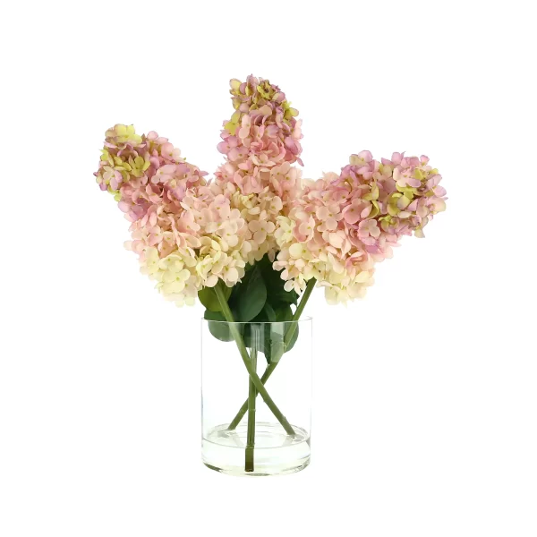 Cone Hydrangea Arranged in Glass Vase