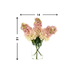 Cone Hydrangea Arranged in Glass Vase