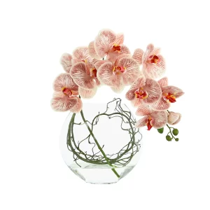 Orchid and Vine Floral in a Glass Vase