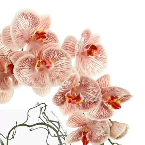 Orchid and Vine Floral in a Glass Vase