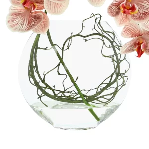 Orchid and Vine Floral in a Glass Vase