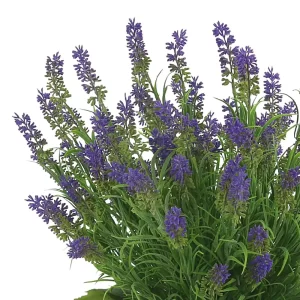 Lavender Floral Arrangement in a Clear Glass Vase with Seashells