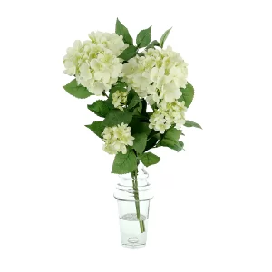 Hydrangea Floral Arrangement in a Tall Clear Glass Vase