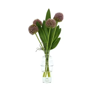 Allium and Orchid Leaf Arrangement in a Tall Glass Vase