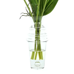 Allium and Orchid Leaf Arrangement in a Tall Glass Vase