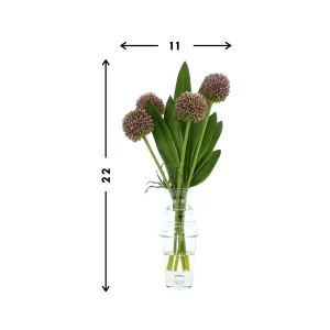 Allium and Orchid Leaf Arrangement in a Tall Glass Vase