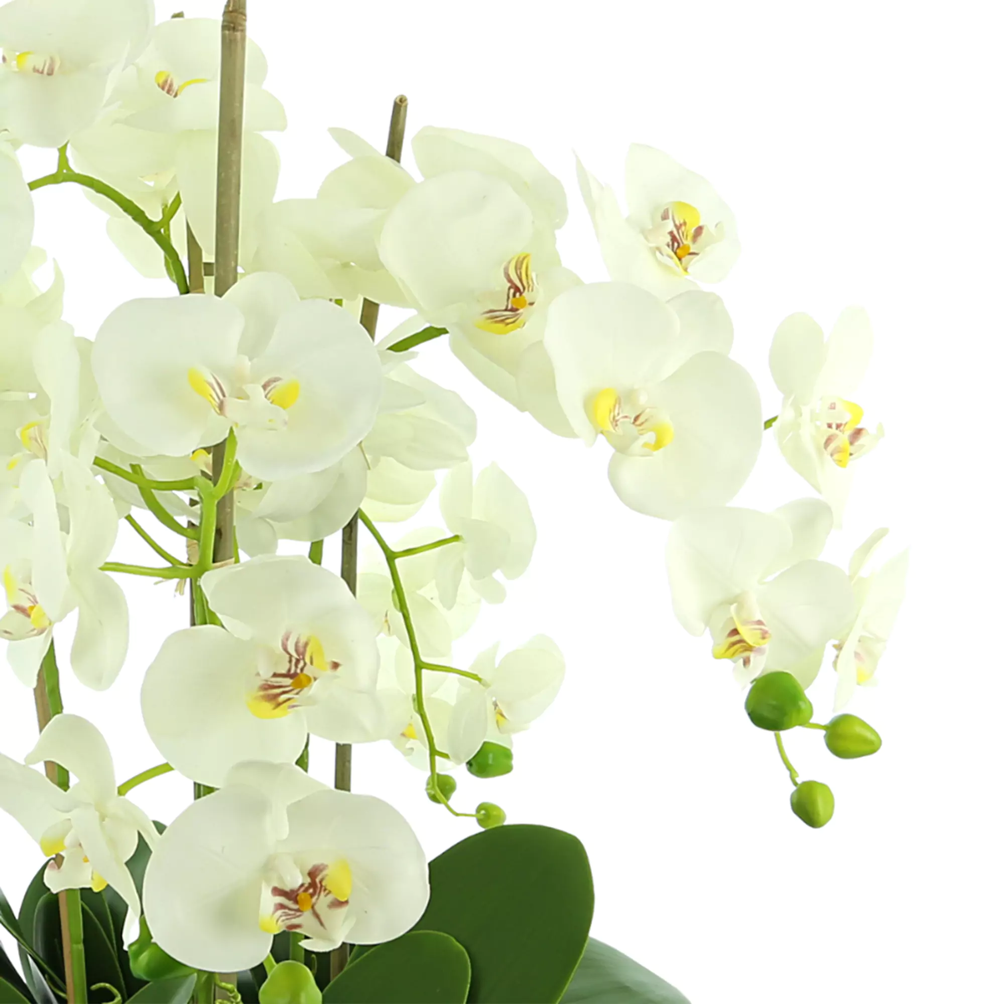 Orchid Floral Arrangement in a Round Fiberstone Planter