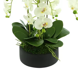 Orchid Floral Arrangement in a Round Fiberstone Planter