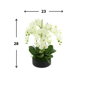 Orchid Floral Arrangement in a Round Fiberstone Planter
