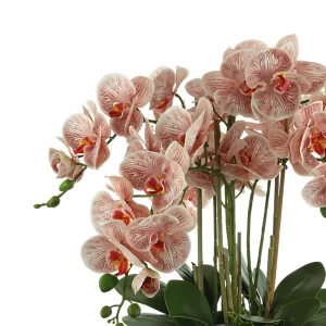 Orchid Floral Arrangement in a Round Ceramic Planter