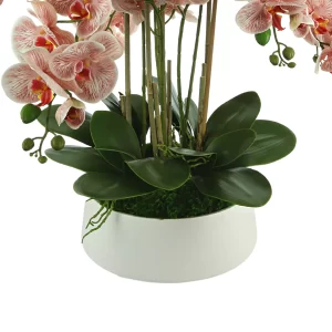 Orchid Floral Arrangement in a Round Ceramic Planter